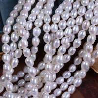 Rice Cultured Freshwater Pearl Beads, DIY, white, 8mm Approx 37 cm 