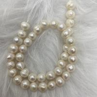 Potato Cultured Freshwater Pearl Beads, DIY, white, 8-9mm Approx 37 cm 