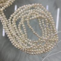 Potato Cultured Freshwater Pearl Beads, DIY, white, 2-3mm Approx 37 cm 