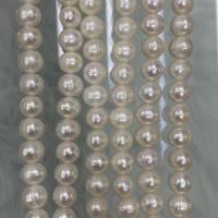 Natural Freshwater Pearl Loose Beads, Slightly Round, DIY, white, 8-9mm Approx 37 cm 