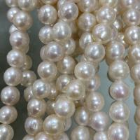 Natural Freshwater Pearl Loose Beads, Slightly Round, DIY, white, 6-7mm Approx 37 cm 