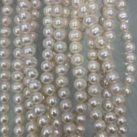 Potato Cultured Freshwater Pearl Beads, DIY, white, 9-10mm Approx 37 cm 