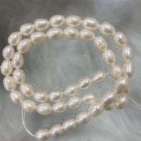 Rice Cultured Freshwater Pearl Beads, DIY, white, 7-8mm Approx 37 cm 