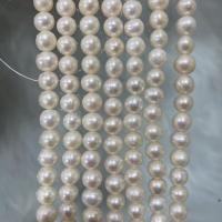 Potato Cultured Freshwater Pearl Beads, DIY, white, 7-8mm Approx 37 cm 