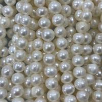 Potato Cultured Freshwater Pearl Beads, DIY, white, 6-7mm Approx 37 cm 