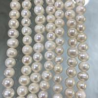 Potato Cultured Freshwater Pearl Beads, DIY, white, 7-8mm Approx 37 cm 