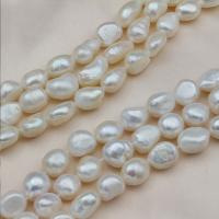 Perles de culture d'eau douce Keishi, perle d'eau douce cultivée, baroque, DIY & normes différentes pour le choix, blanc Environ 35-38 cm, Vendu par brin