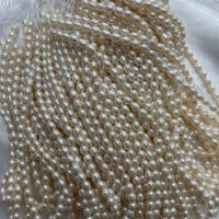 Rice Cultured Freshwater Pearl Beads, DIY, white, 5-6mm Approx 37 cm 