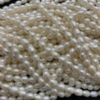 Rice Cultured Freshwater Pearl Beads, DIY, white, 5-6mm Approx 37 cm 