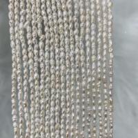 Rice Cultured Freshwater Pearl Beads, DIY, white, 3-3.5mm Approx 37 cm 