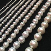 Peties perles de la mer du sud, Shell Pearl, Rond, DIY & normes différentes pour le choix, blanc, Vendu par brin