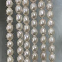 Rice Cultured Freshwater Pearl Beads, DIY, white, 7-8mm Approx 37 cm 