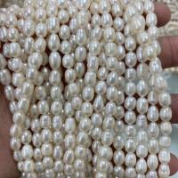 Rice Cultured Freshwater Pearl Beads, DIY, white, 5-6mm Approx 37 cm 