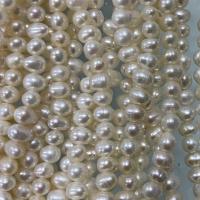 Potato Cultured Freshwater Pearl Beads, DIY, white, 4-5mm Approx 37 cm 