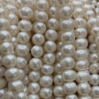 Potato Cultured Freshwater Pearl Beads, DIY, white, 8-9mm Approx 37 cm 