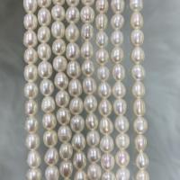 Rice Cultured Freshwater Pearl Beads, DIY, white, 4-5mm Approx 37 cm 