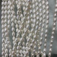 Rice Cultured Freshwater Pearl Beads, DIY, white, 7-8mm Approx 37 cm 