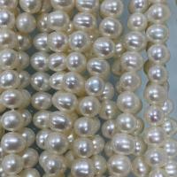 Potato Cultured Freshwater Pearl Beads, DIY, white, 5-6mm Approx 37 cm 