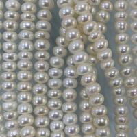 Natural Freshwater Pearl Loose Beads, Flat Round, DIY, white, 5-6mm Approx 37 cm 