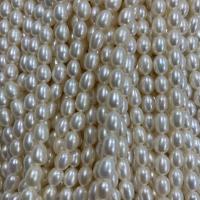 Rice Cultured Freshwater Pearl Beads, DIY, white, 5-6mm Approx 37 cm 