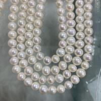 Natural Freshwater Pearl Loose Beads, Slightly Round, DIY, white, 7-8mm Approx 37 cm 