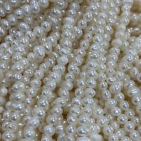 Potato Cultured Freshwater Pearl Beads, DIY, white, 3-3.5mm Approx 37 cm 