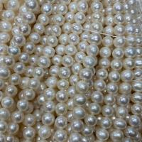 Natural Freshwater Pearl Loose Beads, Slightly Round, DIY, white, 6-7mm Approx 37 cm 