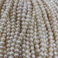 Potato Cultured Freshwater Pearl Beads, DIY, white, 5-6mm Approx 37 cm 