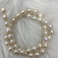 Natural Freshwater Pearl Loose Beads, Slightly Round, DIY, white, 8-9mm Approx 37 cm 