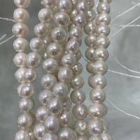 Natural Freshwater Pearl Loose Beads, Slightly Round, DIY, white, 6-7mm Approx 37 cm 