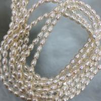 Rice Cultured Freshwater Pearl Beads, DIY, white, 3-4mm Approx 37 cm 