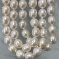 Rice Cultured Freshwater Pearl Beads, DIY, white, 7-8mm Approx 37 cm 