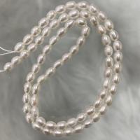 Rice Cultured Freshwater Pearl Beads, DIY, white, 3-4mm Approx 37 cm 