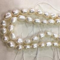 Keshi Cultured Freshwater Pearl Beads, DIY white Approx 37 cm 