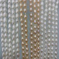 Rice Cultured Freshwater Pearl Beads, DIY 4-5mm Approx 37 cm 