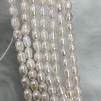 Rice Cultured Freshwater Pearl Beads, DIY, white, 5-6mm Approx 37 cm 