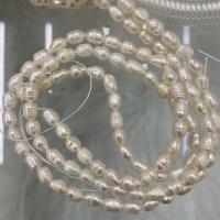 Rice Cultured Freshwater Pearl Beads, DIY, white, 4-5mm Approx 37 cm 