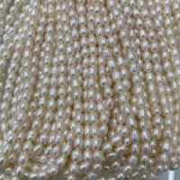 Rice Cultured Freshwater Pearl Beads, DIY, white, 4-5mm Approx 37 cm 