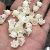 Trochus Beads, Flower, polished, DIY, white 