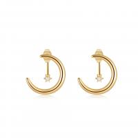 Boucles d'oreilles en acier titane, Acier inoxydable 304, Plaqué or 18K, bijoux de mode & pavé de micro zircon & pour femme, doré, 19mm, Vendu par paire