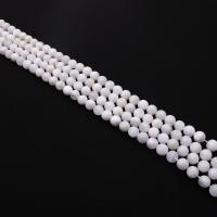 Natural Moonstone Beads, Round, DIY white Approx 38 cm 