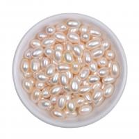 Perlas Arroz Freshwater, Perlas cultivadas de agua dulce, Bricolaje, Blanco, 6x9mm, Vendido por UD