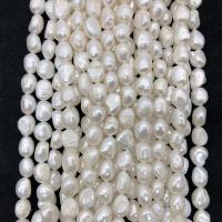 Keshi Cultured Freshwater Pearl Beads, DIY, white, 10-11mm, Approx 