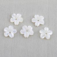 Natural White Shell Beads, Flower, DIY, white 