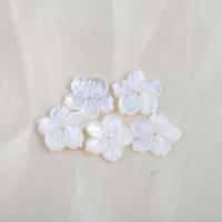 Natural White Shell Beads, Flower, DIY, white 