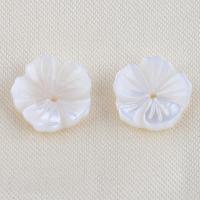 Natural White Shell Beads, Flower, DIY, white 