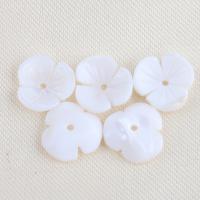 Natural White Shell Beads, Flower, DIY, white 