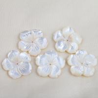 Natural White Shell Beads, Flower, DIY, white 