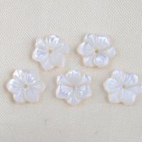 Natural White Shell Beads, Flower, DIY, white 