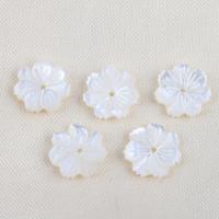 Natural White Shell Beads, Flower, DIY, white 